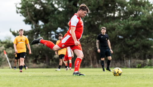 Harriers 1419
