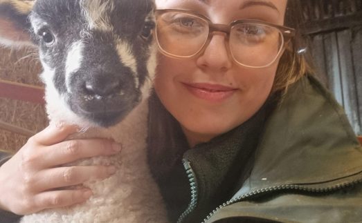 Aimee With Sheep Scaled