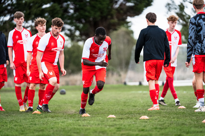 Harriers 23