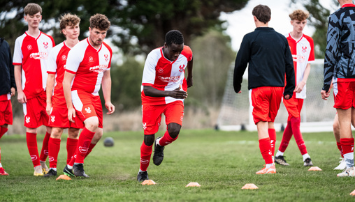 Harriers 23