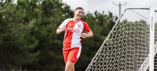 Harriers 1243 Copy